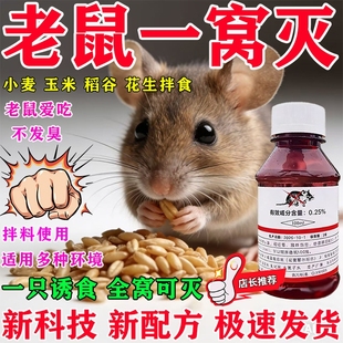 老鼠水剂母液化工药强力特效老鼠克星专用一锅端家用药灭鼠笼神器