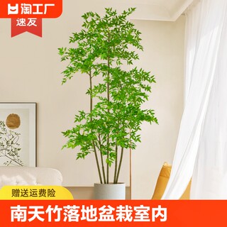 仿真植物南天竹落地盆栽室内大型仿生绿植摆件客厅轻奢装饰花假树