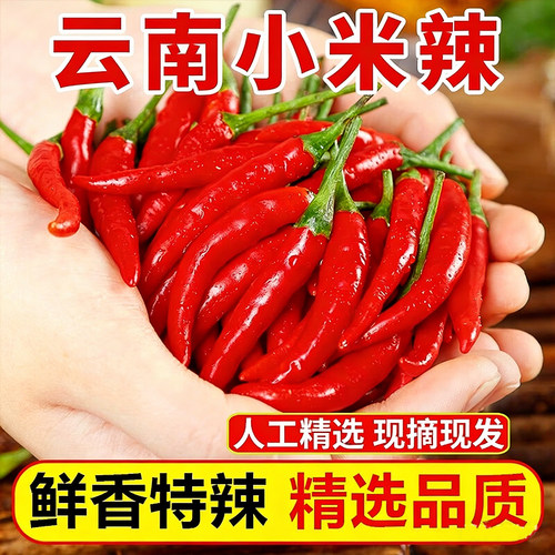 云南小米辣新鲜现摘辣椒朝天椒剁椒即食生鲜中特辣农家特产