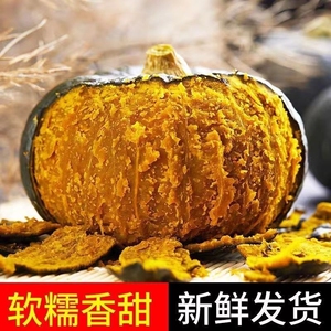 正宗板栗南瓜沙地老南瓜当季新鲜采摘5斤整箱包邮粉糯甜板栗味瓜