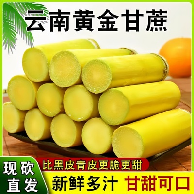 正宗新鲜黄金甘蔗新鲜脆甜热带水果当季黄皮甘蔗正宗特产现砍