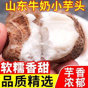 正宗山东牛奶小芋头新鲜红芽毛芋头当季芋艿香芋软糯奶香