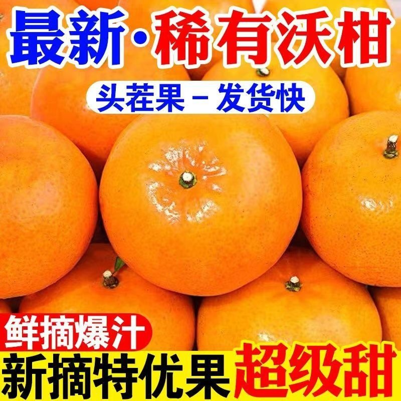 云南沃柑正宗云南新鲜桔子水果甜橘子当季皇帝蜜柑橘砂糖桔包邮,水产肉类/新鲜蔬果/熟食,桔子,淘宝优惠券,粉丝福利购,淘宝优惠卷