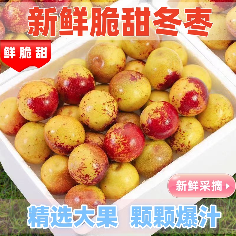 正宗冬枣脆甜新鲜大果应季整箱枣子现摘脆枣冰糖大枣5斤当季水果