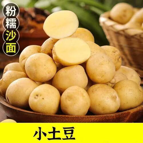 新鲜恩施小土豆农家自种高山