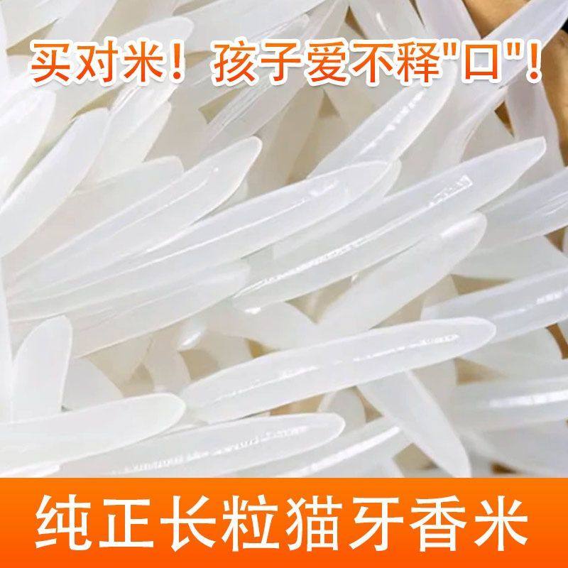 2026新米农家生态大米当季晚稻10斤香米煮饭熬粥软糯香甜丝苗新米