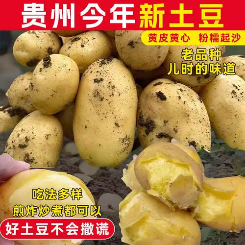 土豆新鲜2026年新货现挖