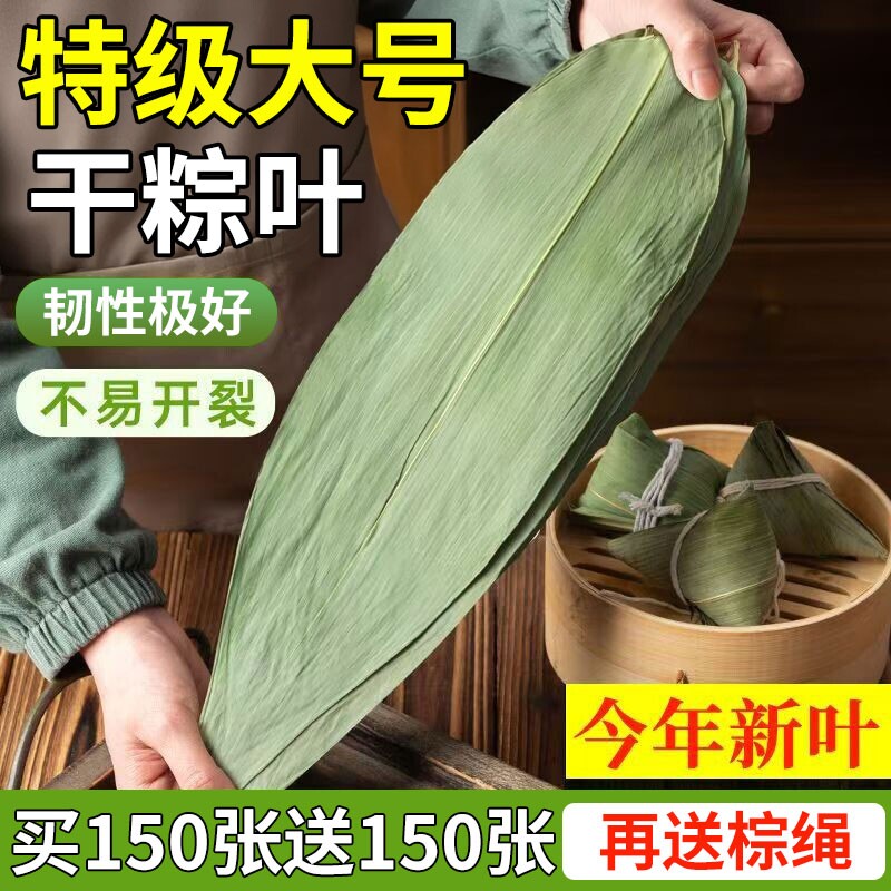 粽子叶棕叶新鲜大号包粽子专用的叶子批发干粽叶大野生鲜粽叶端午