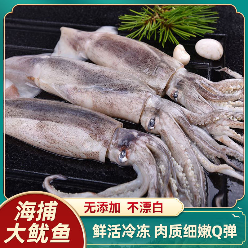 新鲜冷冻鱿鱼批发大鱿鱼整只笔管大鱿鱼尤鱼烧烤铁板商用海鲜食品,水产肉类/新鲜蔬果/熟食,冷冻鱿鱼,淘宝优惠券,粉丝福利购,淘宝优惠卷