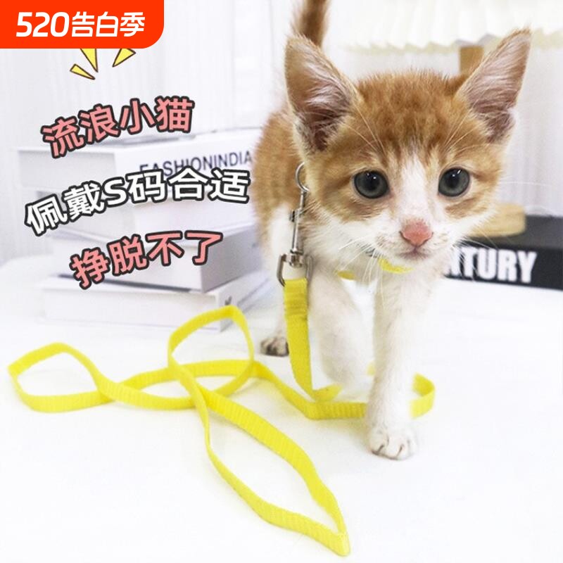 小猫咪牵引绳幼猫幼犬外出迷你犬茶杯犬小狗工字型背带遛狗猫绳