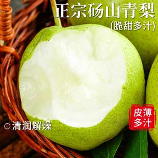 正宗砀山青梨 梨当季现摘现发苹果梨脆甜多汁时令水果包邮
