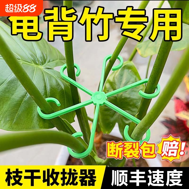龟背竹支撑杆固定器防倒春羽支架水培固定花盆架园艺花卉绿植收拢