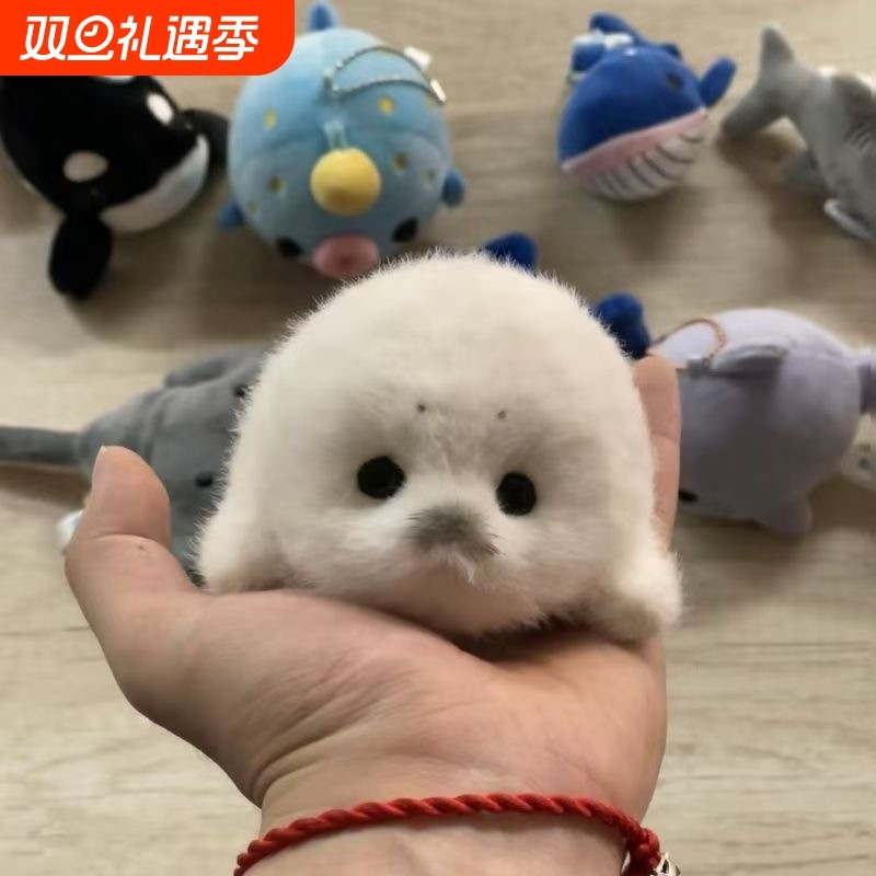 ins卡通海洋动物鲸鲨毛绒公仔鲨鱼鲸鱼压床结婚娃娃抛洒公仔海豹