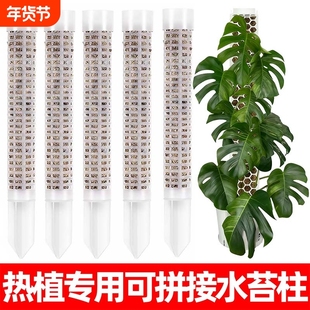 水苔柱可拼接龟背竹爬藤植物攀附柱热值专用绿萝攀爬柱固定支撑架