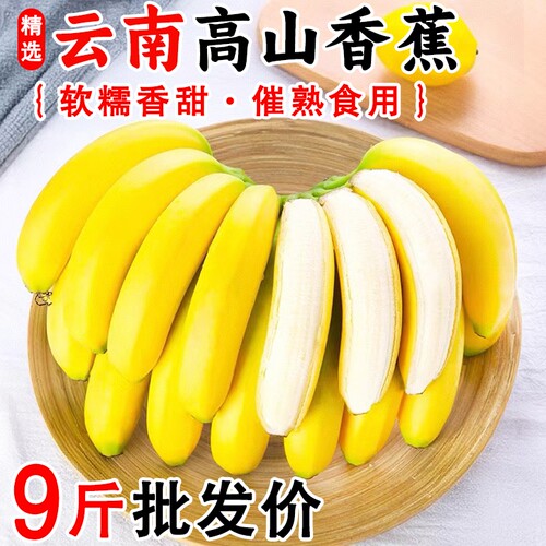 云南高山甜香蕉新鲜水果需催熟