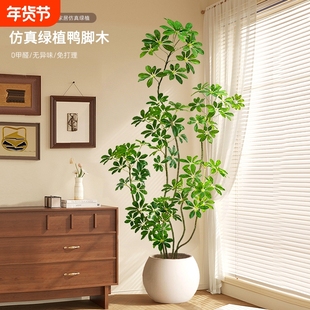 仿真绿植鸭脚木室内装饰盆栽大型落地摆件客厅仿真花植物树下奶油