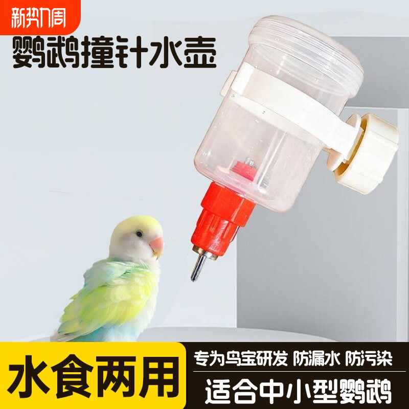 鹦鹉专用撞针饮水壶防溅水防污染避免湿毛中小型鹦鹉喝水器用品
