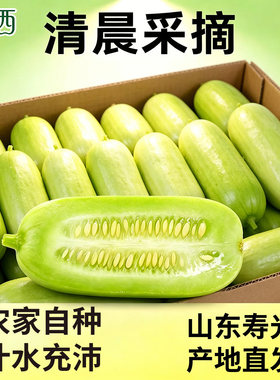 寿光源头新苗木玉女黄瓜当季水果新鲜整箱现摘拇指黄瓜生吃自然熟