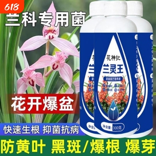 兰灵王兰花专用肥蝴蝶兰君子兰肥料兰科专用菌兰花营养液黄叶克星