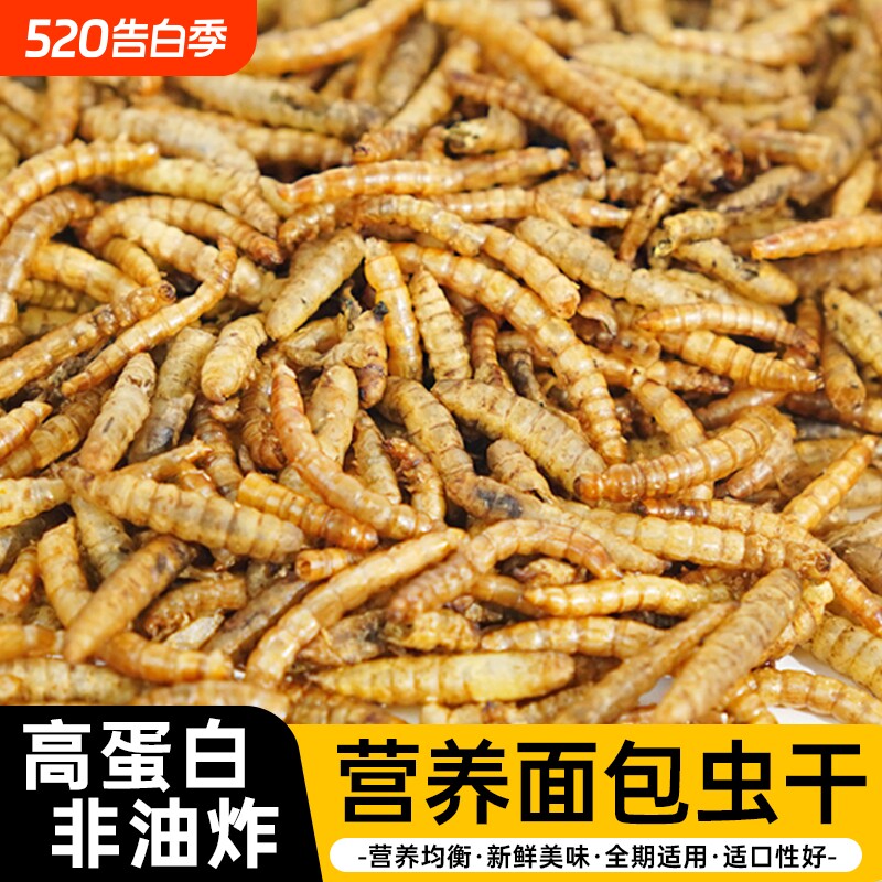 面包虫干黄粉虫喂鸟虎皮乌龟仓鼠龙鱼食龟鳖零食饵料守宫蜥蜴饲料