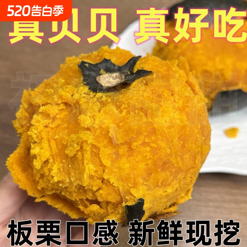 新鲜现挖5斤贝贝南瓜粉糯香甜栗子小南瓜婴儿辅食减脂粗粮板栗