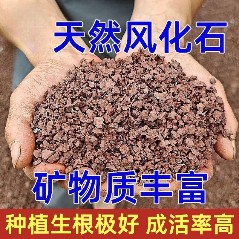 透气天然风化石盆景专用土红土颗粒金弹子营养土多肉根土兰花土壤