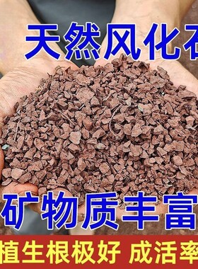 透气天然风化石盆景专用土红土颗粒金弹子营养土多肉根土兰花土壤