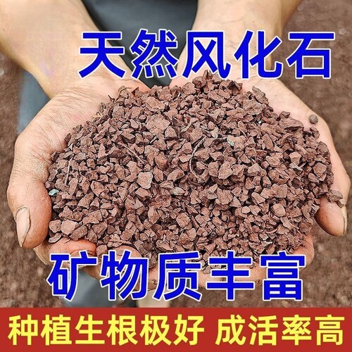 透气天然风化石盆景专用土红土颗粒金弹子营养土多肉根土兰花土壤