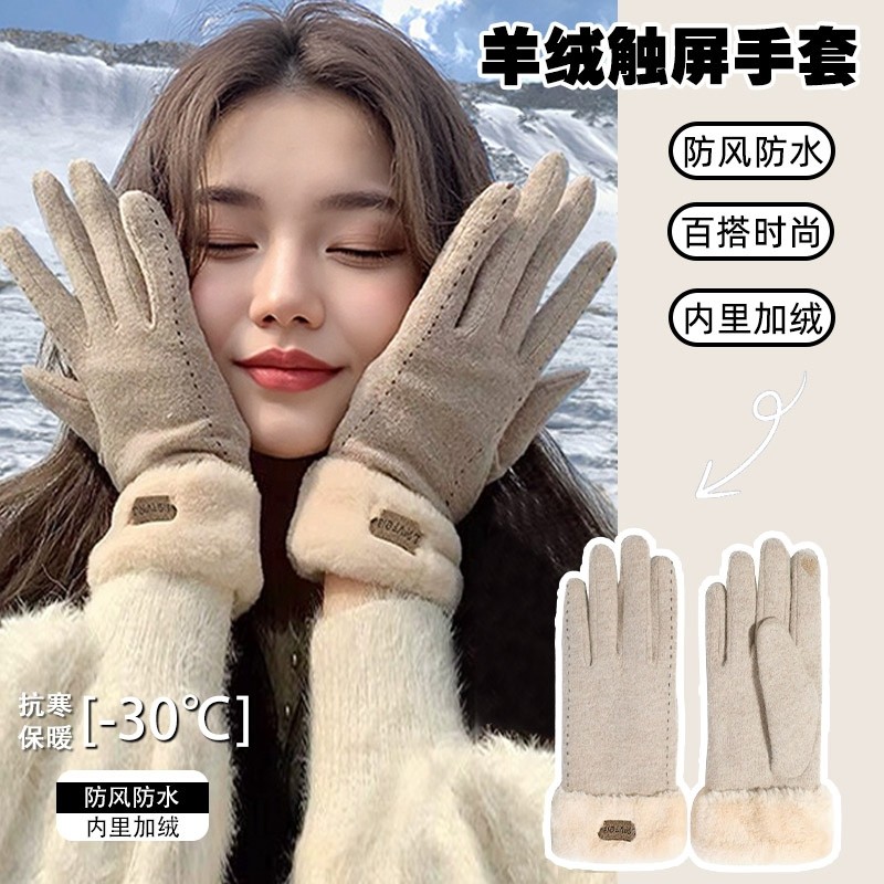 可触屏手套女冬季2025新款保暖防寒加绒加厚骑行女士羊绒防风手套