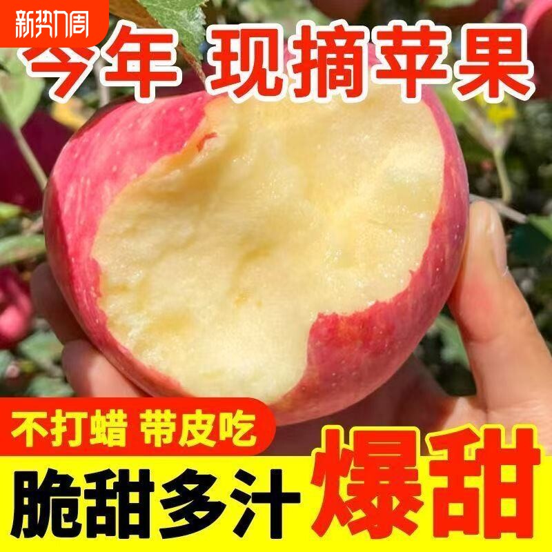 脆甜红富士苹果当季新鲜水果脆甜苹果新鲜水果整箱批发包邮