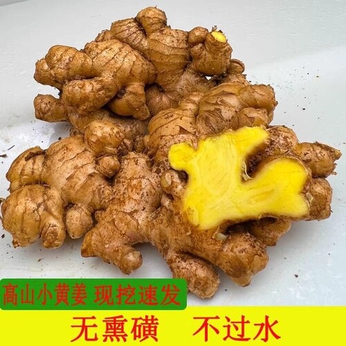 今年老姜云南小黄姜山区现挖生姜