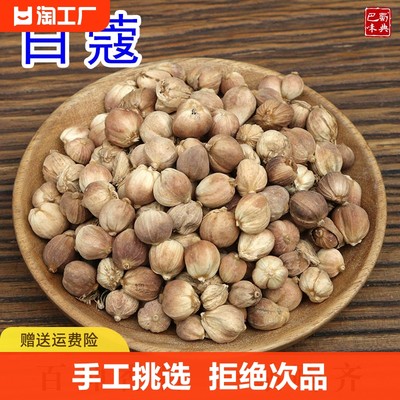 白蔻白寇香料无硫炒菜白豆蔻