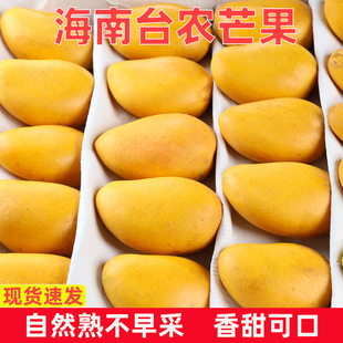现摘整箱 包邮 新鲜水果应季 9斤当季 单果80g 海南小台农芒果5