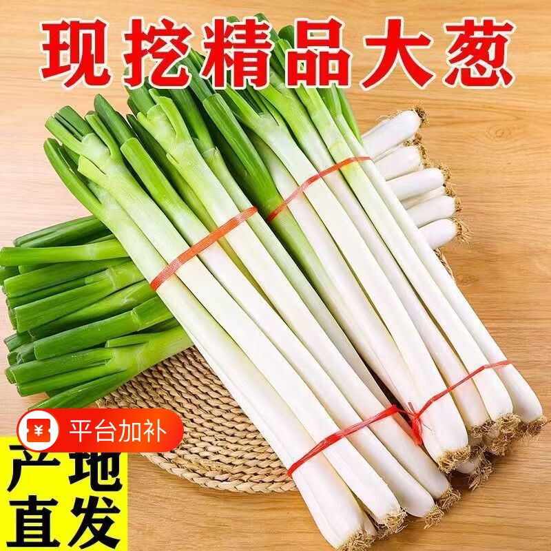正宗山东大葱潍坊大葱产地直发当季蔬菜带皮去叶9斤装包邮旗舰店