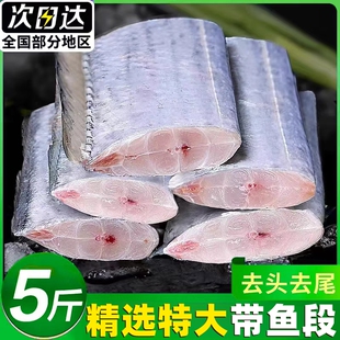 带鱼段新鲜特大中段带鱼肉冷冻鲜活小眼带鱼大号雷达网海捕水产