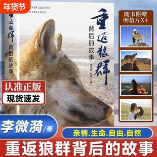 【10年了格林还活着】重返狼群背后的故事 李微漪 红娟 著 一部人狼情未了的旷世传奇难以割舍恒以在怀的牵挂探寻人与自然和谐之道