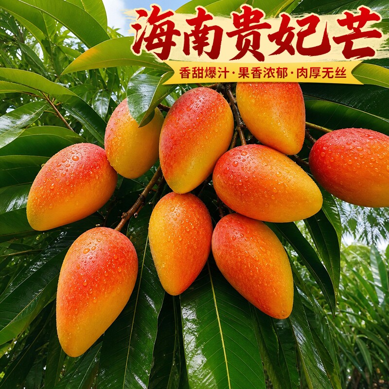 海南贵妃芒  果农自种新鲜现摘现发贵妃芒果自然熟果香浓郁包邮