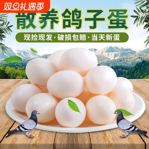 新鲜鸽子蛋当日现产农家散养放养白鸽蛋30个装枚营养健康生鲜包邮