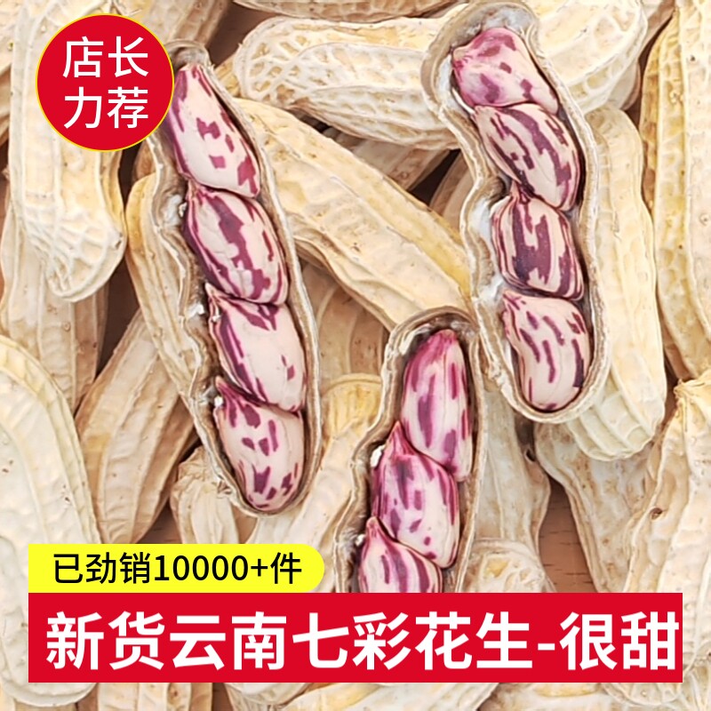 云南七彩花生带壳新货普洱特产五彩花生种籽新鲜晒干批发花生米