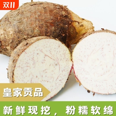 县新鲜荔浦芋头荔浦新货广西大芋头爽口10斤香芋槟榔芋正宗大芋头