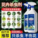 杀虫药花卉植物室内花杀虫剂通用除虫药剂蚜虫月季 花病虫害常用药
