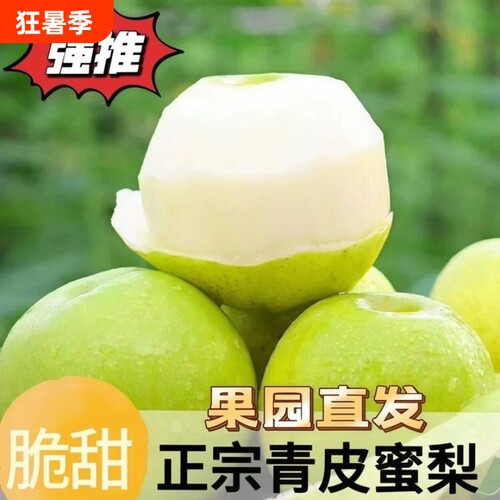 现摘现发新鲜砀山青皮蜜梨细腻