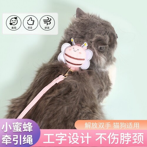 猫咪牵引绳防挣脱背心式胸背带外出遛猫绳透气舒适小猫专用套装