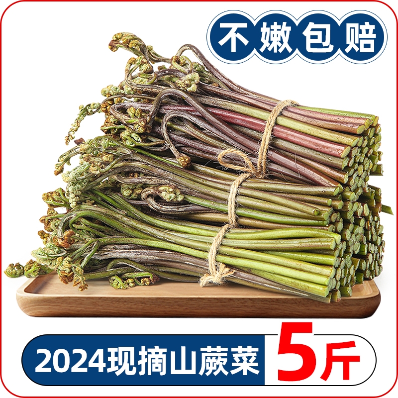 【2024头茬】新鲜现摘山蕨菜力荐