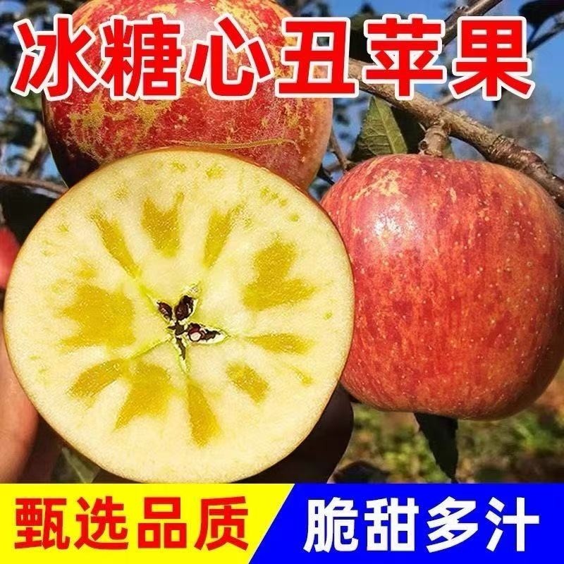 山西运城红富士苹果新鲜水果脆甜丑苹果孕妇冰糖心果园现摘大果,水产肉类/新鲜蔬果/熟食,苹果,淘宝优惠券,粉丝福利购,淘宝优惠卷