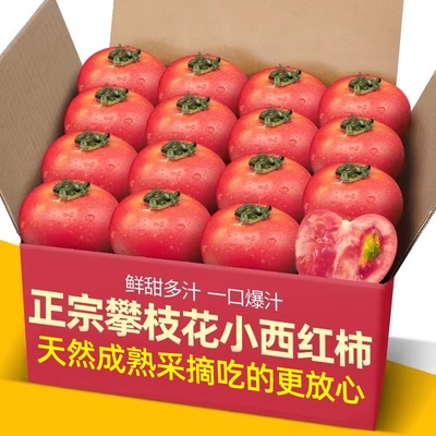 农家现摘露天沙瓤西红柿