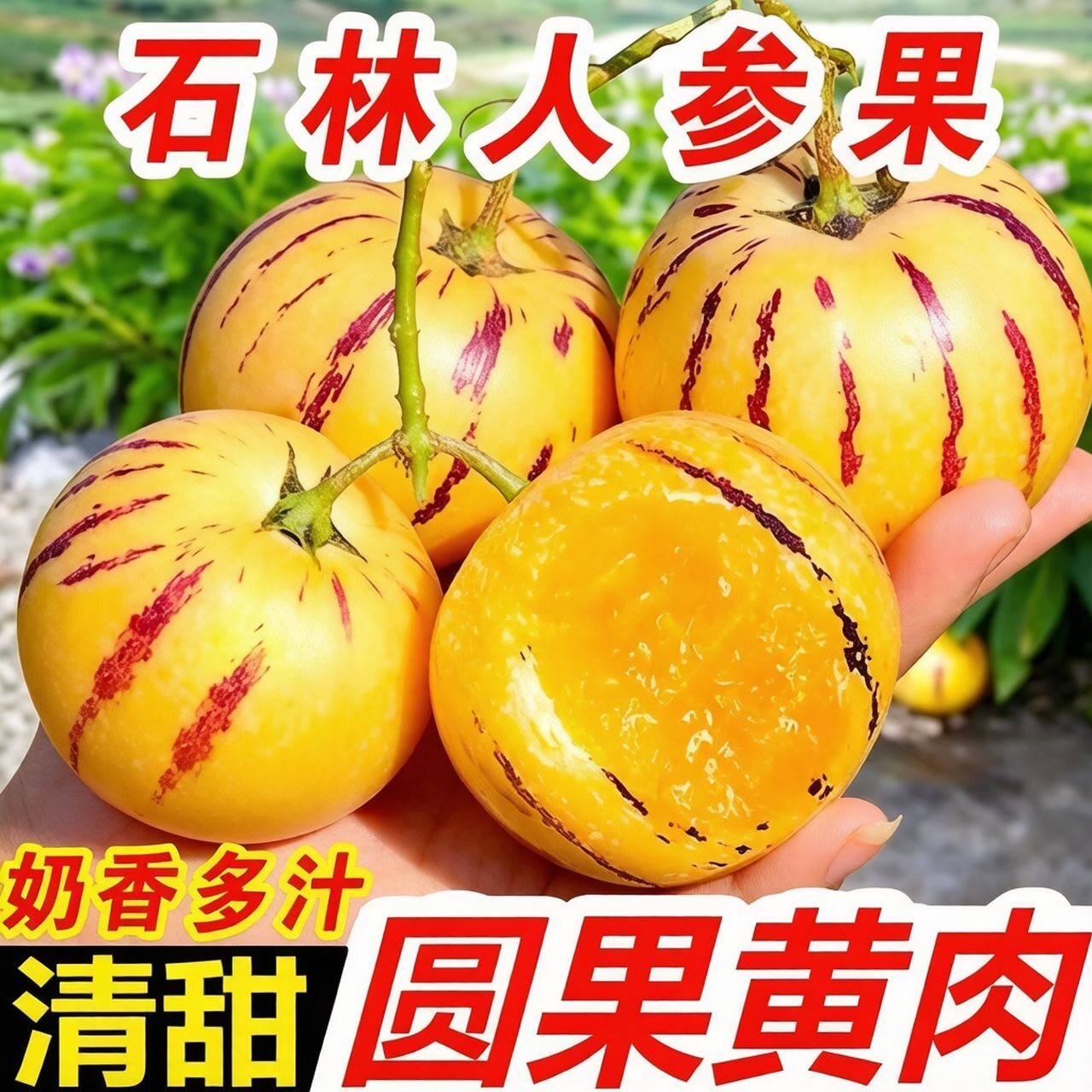 云南石林树上熟人参果人生果水果圆果大果新鲜现摘黄肉黄心人叁果