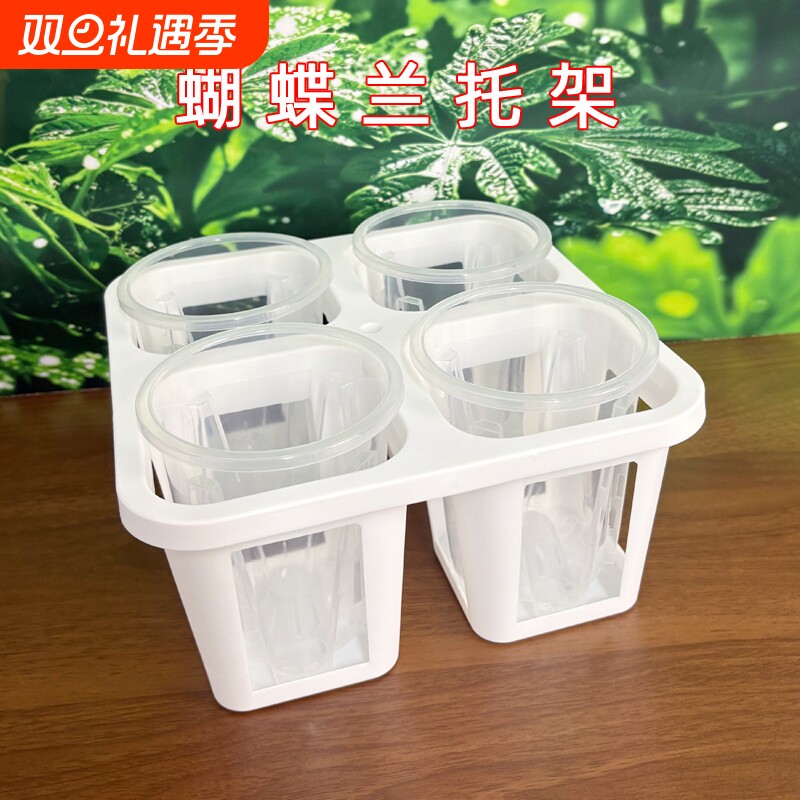 蝴蝶兰四格托架组合整理多肉植物盆栽组盆2.5寸花盆万象盆托架