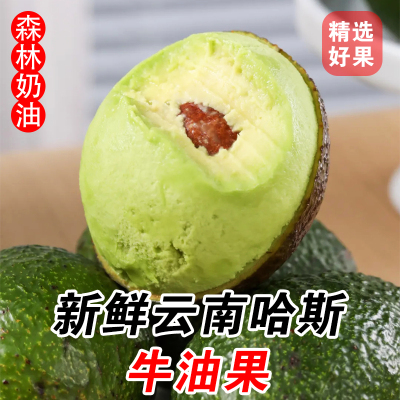 云南哈斯牛油果孕妇宝宝辅食牛油果森林奶油15个特大果香甜牛油果