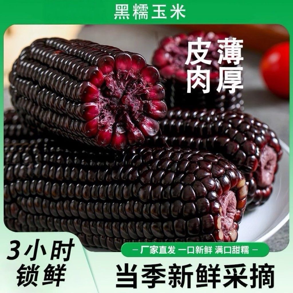 东北黄糯甜玉米新鲜玉米粘玉米玉米棒粗粮代餐真空装10根包邮玉米